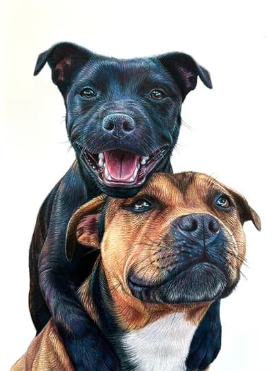 realistic double colored pencil drawing of a black and brown dog